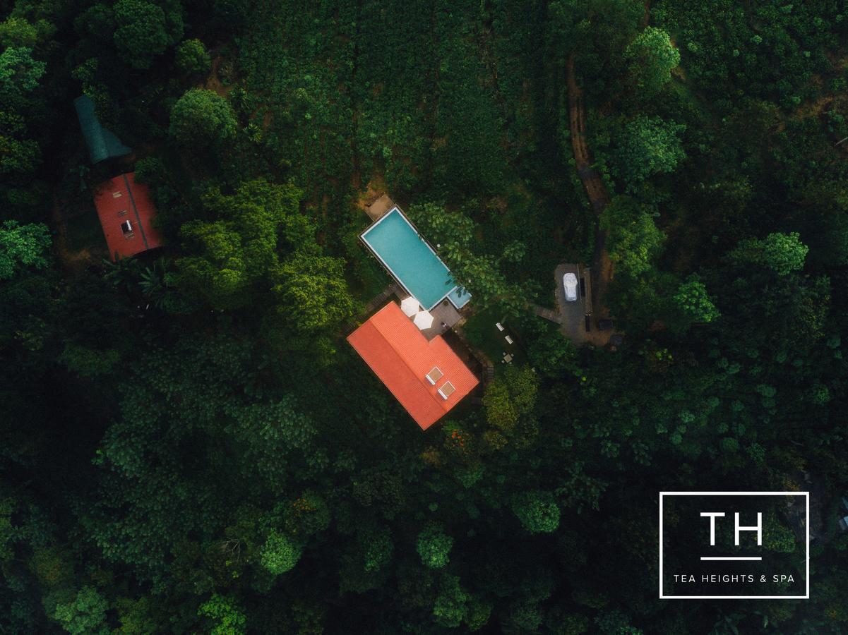Tea Heights Hotel Kandy Eksteriør billede