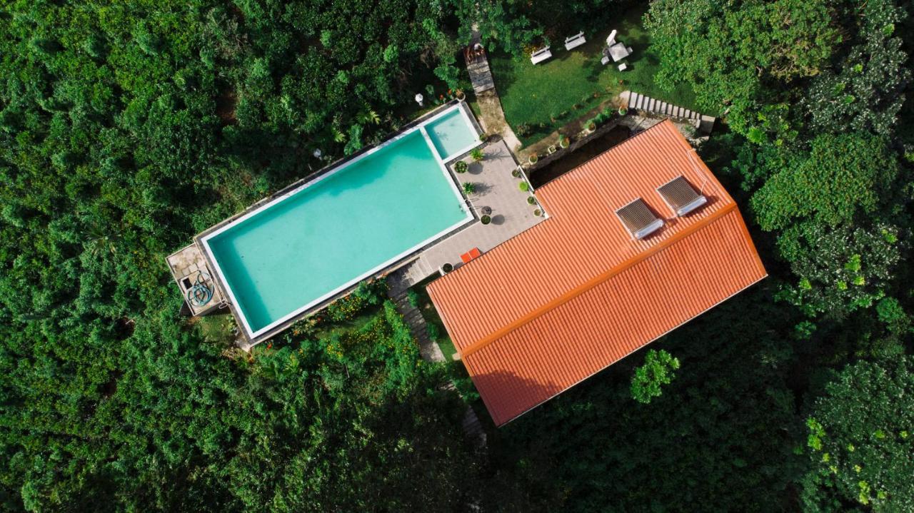 Tea Heights Hotel Kandy Eksteriør billede