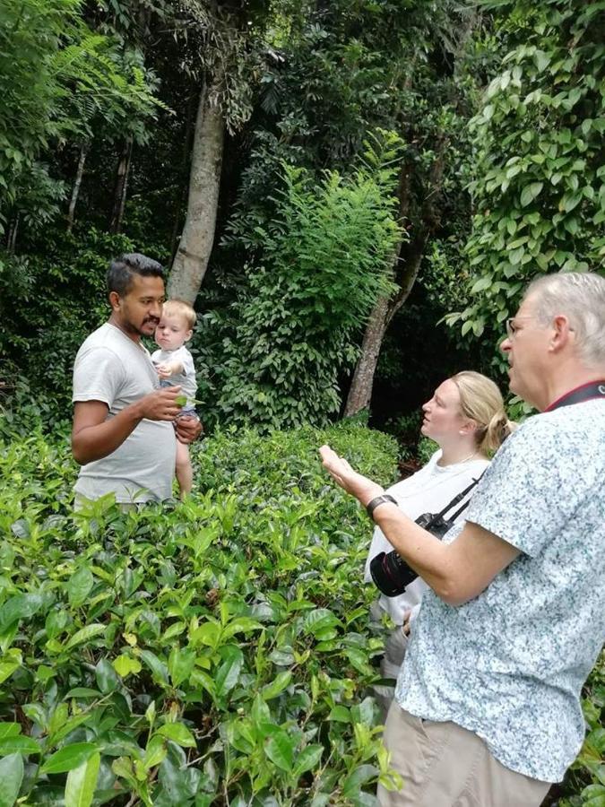 Tea Heights Hotel Kandy Eksteriør billede