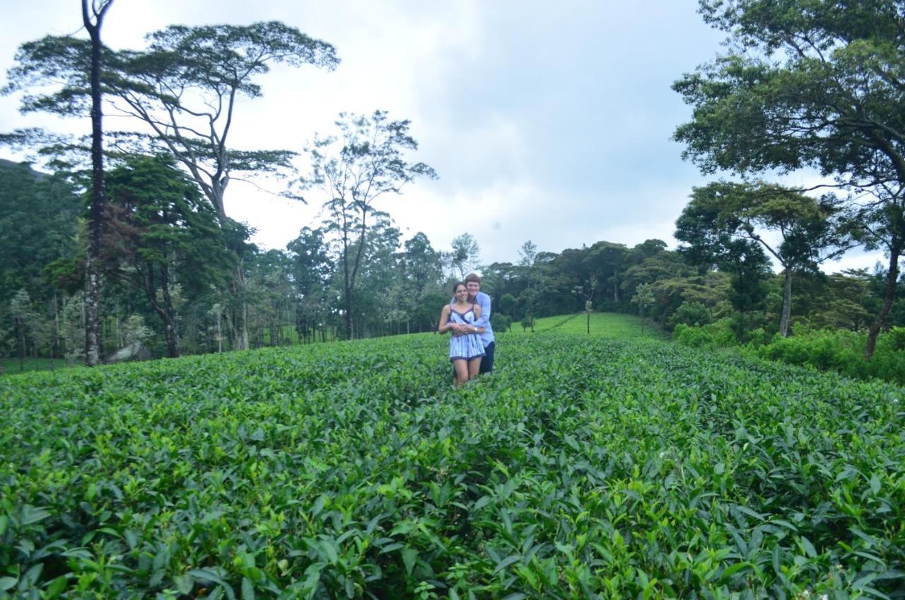 Tea Heights Hotel Kandy Eksteriør billede